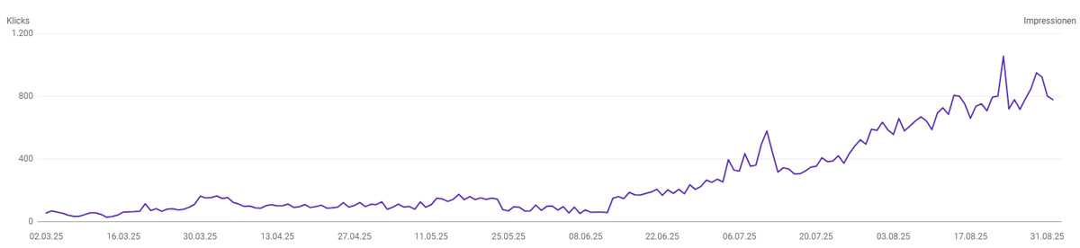 SEOZING Success